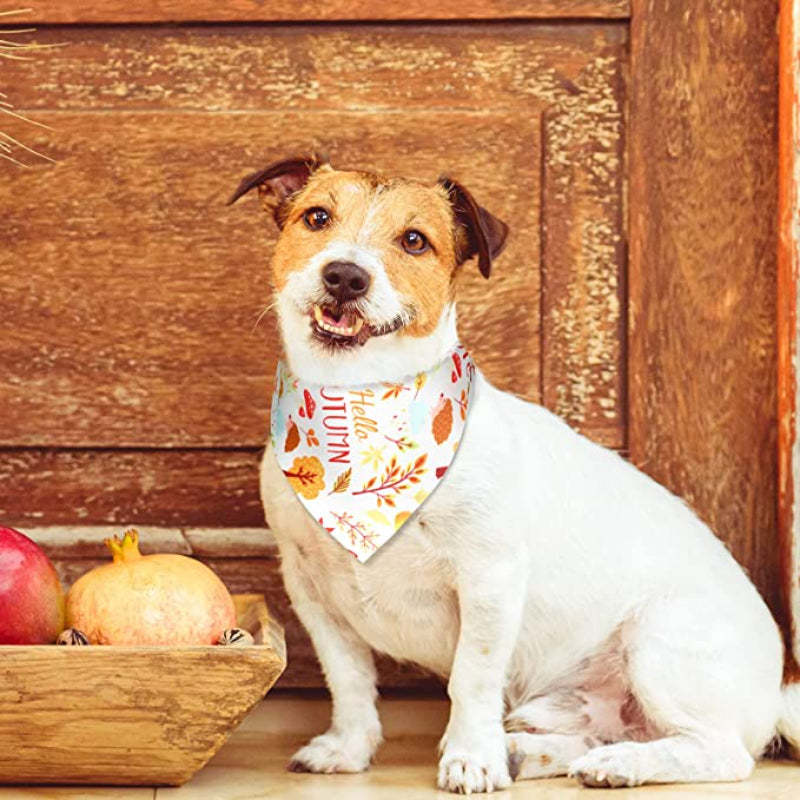 Dog Bandana Scarf Accessory For Easter Spring Summer-Paw Print Pad