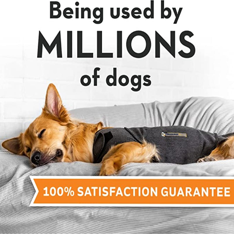 Classic Dog Jacket-Paw Print Pad