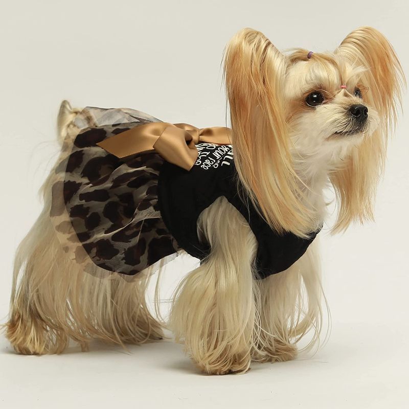 Birthday Girl Dog Tulle Dress, Dog Clothes for Small Dogs Girl, Cat Apparel, Pink, Small-Paw Print Pad