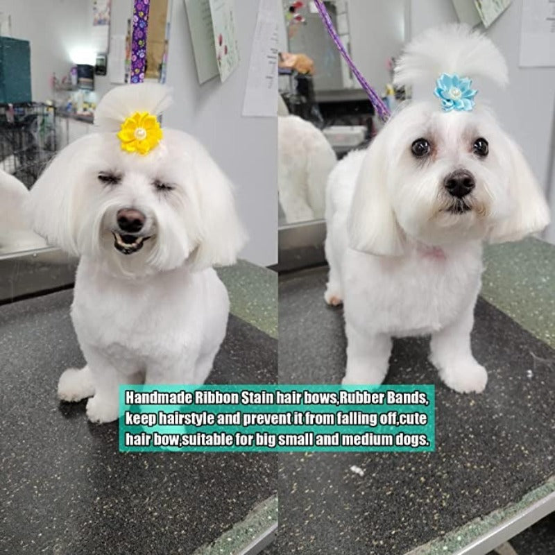 40PCS (20Pairs) Dog Hair Bows With Rubber Bands Pearls Flowers Topknot Dog Bows Pet Grooming Products 20 Colors-Paw Print Pad