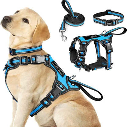 Pet Harness Collar And Leash Set, All-In-One Reflective Dog Harness No Pull With Adjustable Buckles For Puppies-Paw Print Pad