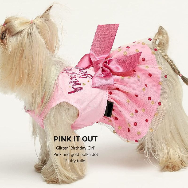 Birthday Girl Dog Tulle Dress, Dog Clothes for Small Dogs Girl, Cat Apparel, Pink, Small-Paw Print Pad
