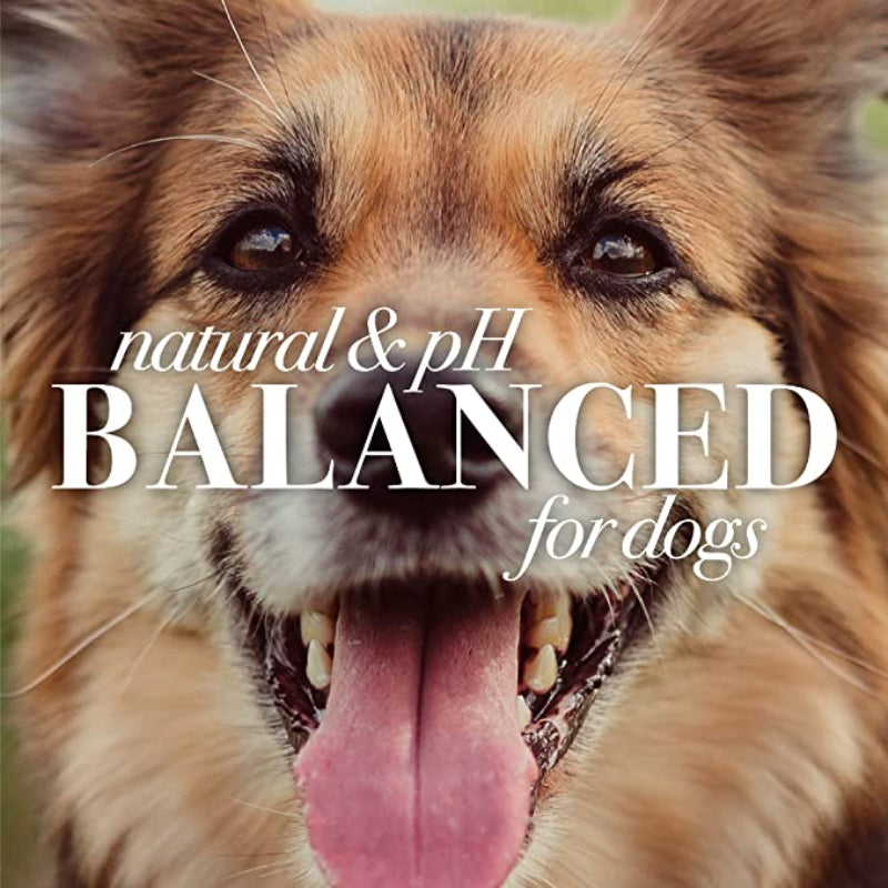 Dogs Natural Paw & Nose Lotion With Rosemary & Olive Oil-Paw Print Pad