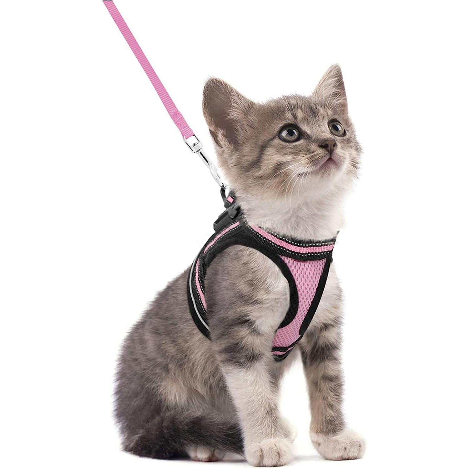 Outdoor Adjustable Soft Cat Vest Harness and Leash Set With Reflective Strips