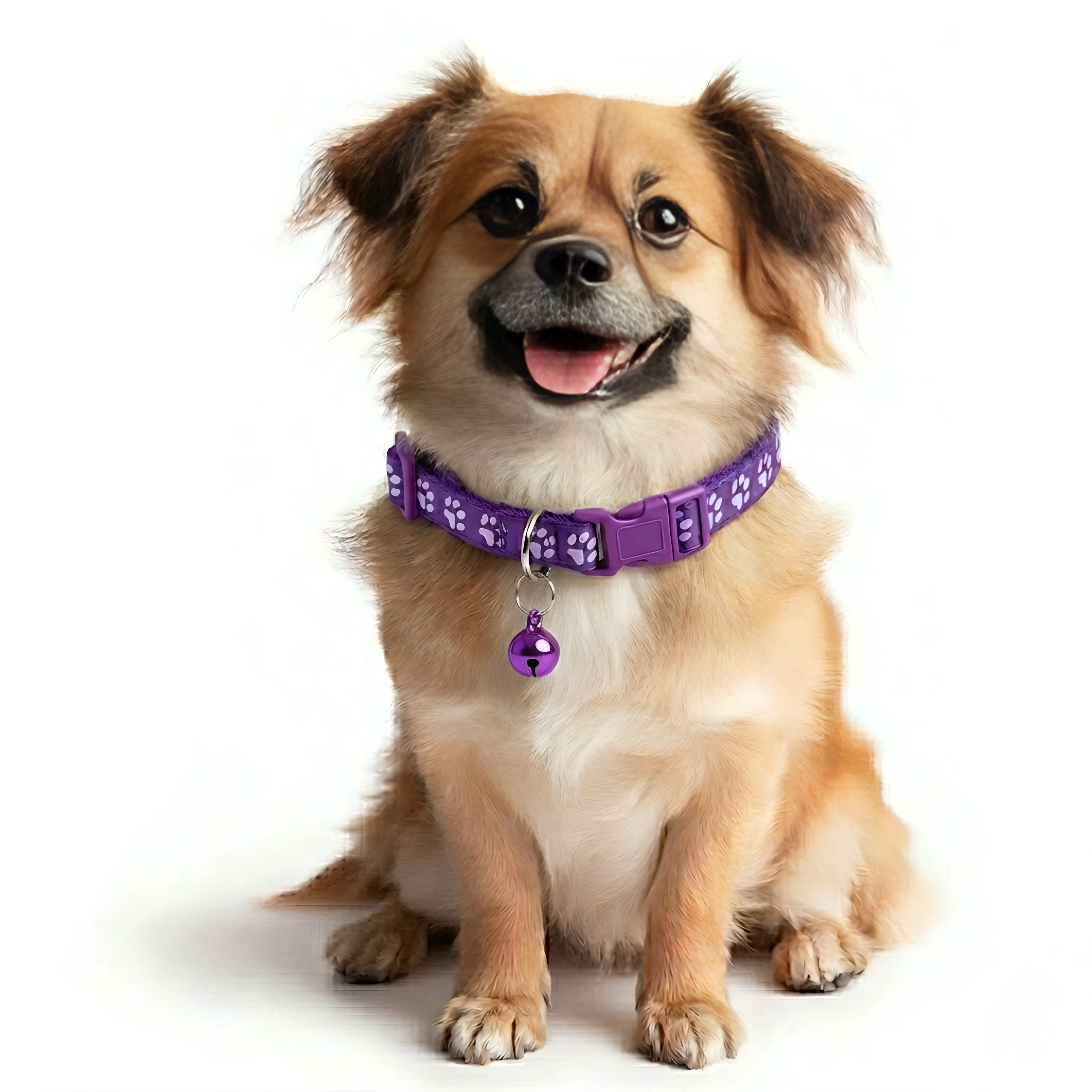10 Piece Of Adjustable Pet Collars With Assorted Colors And Styles
