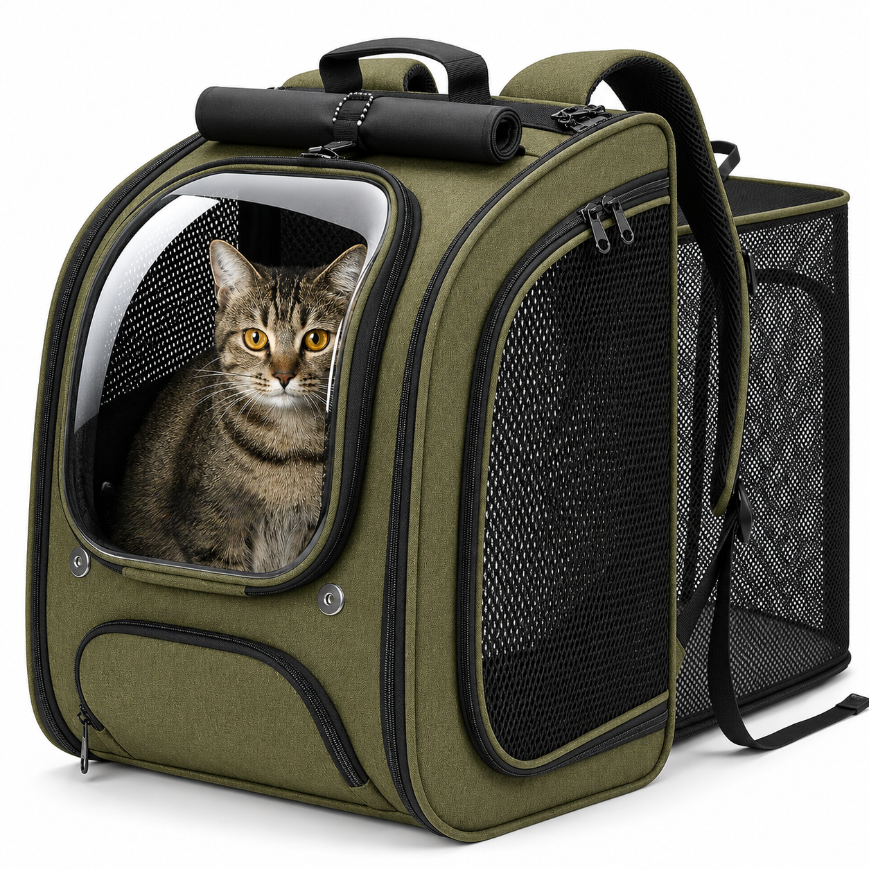 Shaded 3D Design Bubble Backpack For Pets
