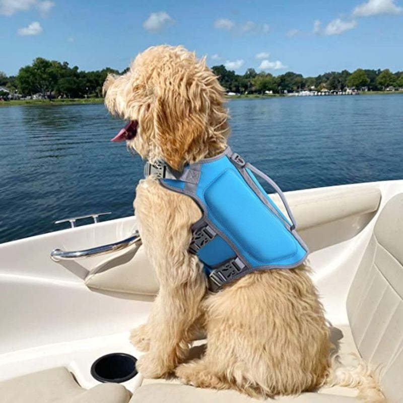 Dog Life Jacket, Skin-Friendly Neoprene Puppy Dog Life Jacket With Superior Buoyancy And Rescue Handle, Pink, Extra Small-Paw Print Pad