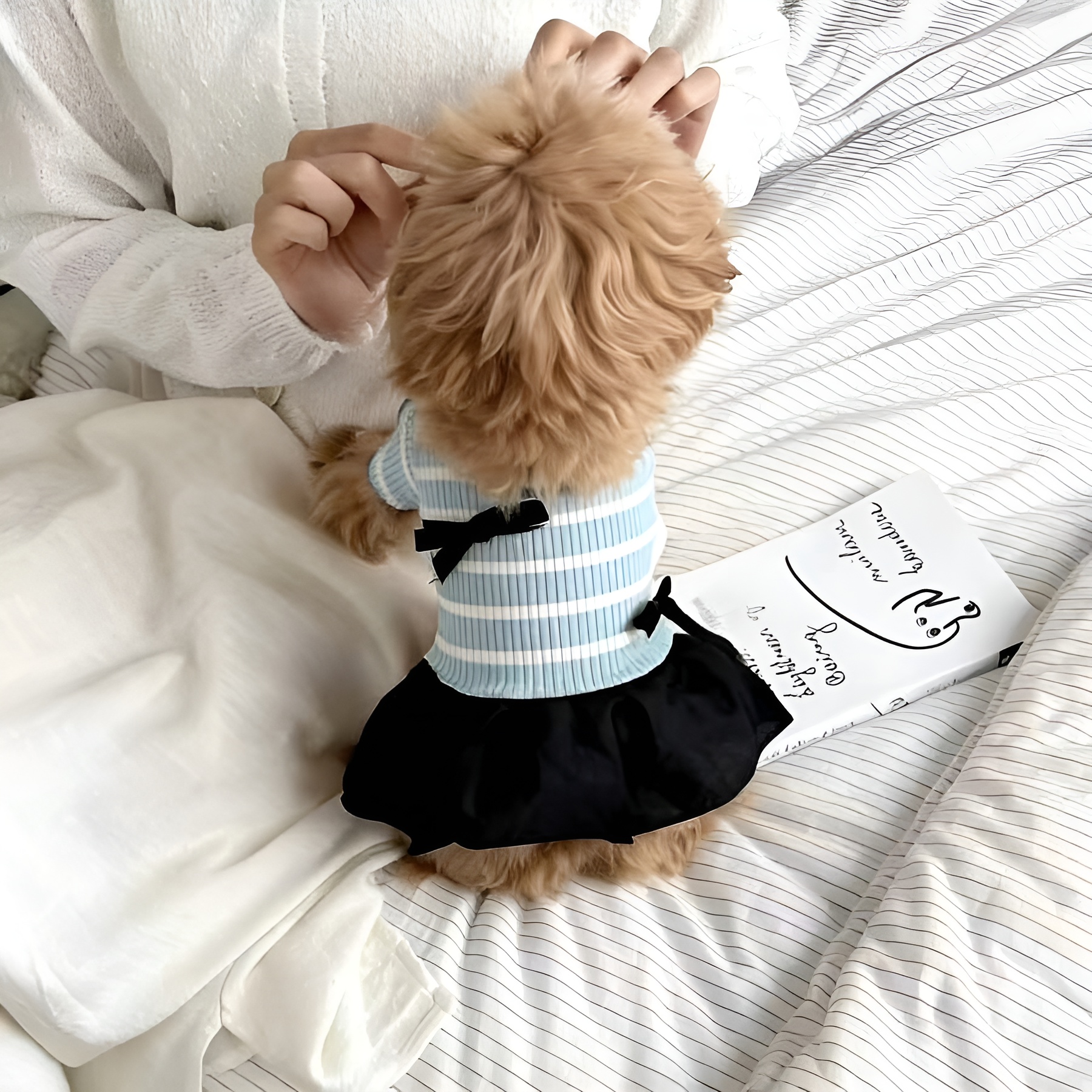 Striped Pet Dress With Bow For Small Dogs Summer Outfit