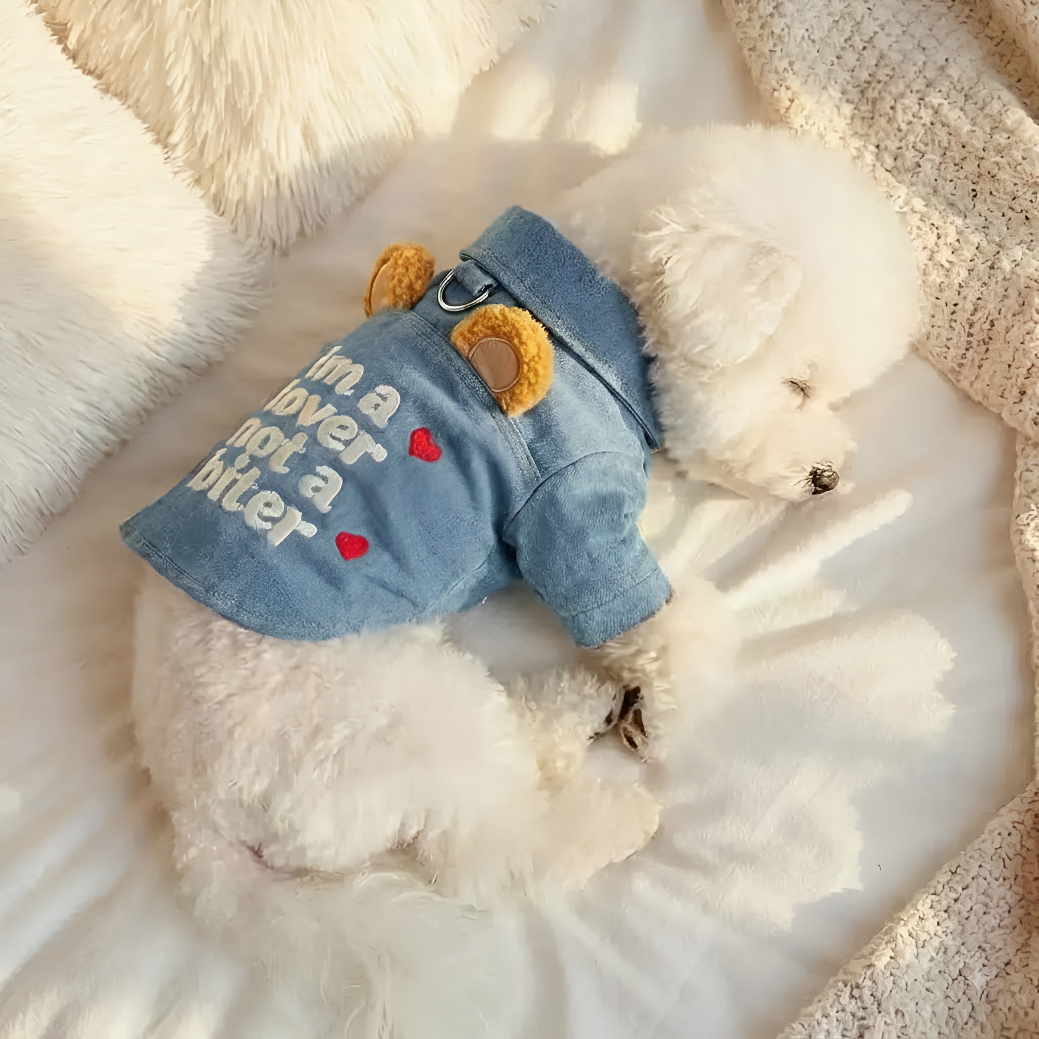 Faux Denim Pet Jacket For Small Dogs Puppies And Cats