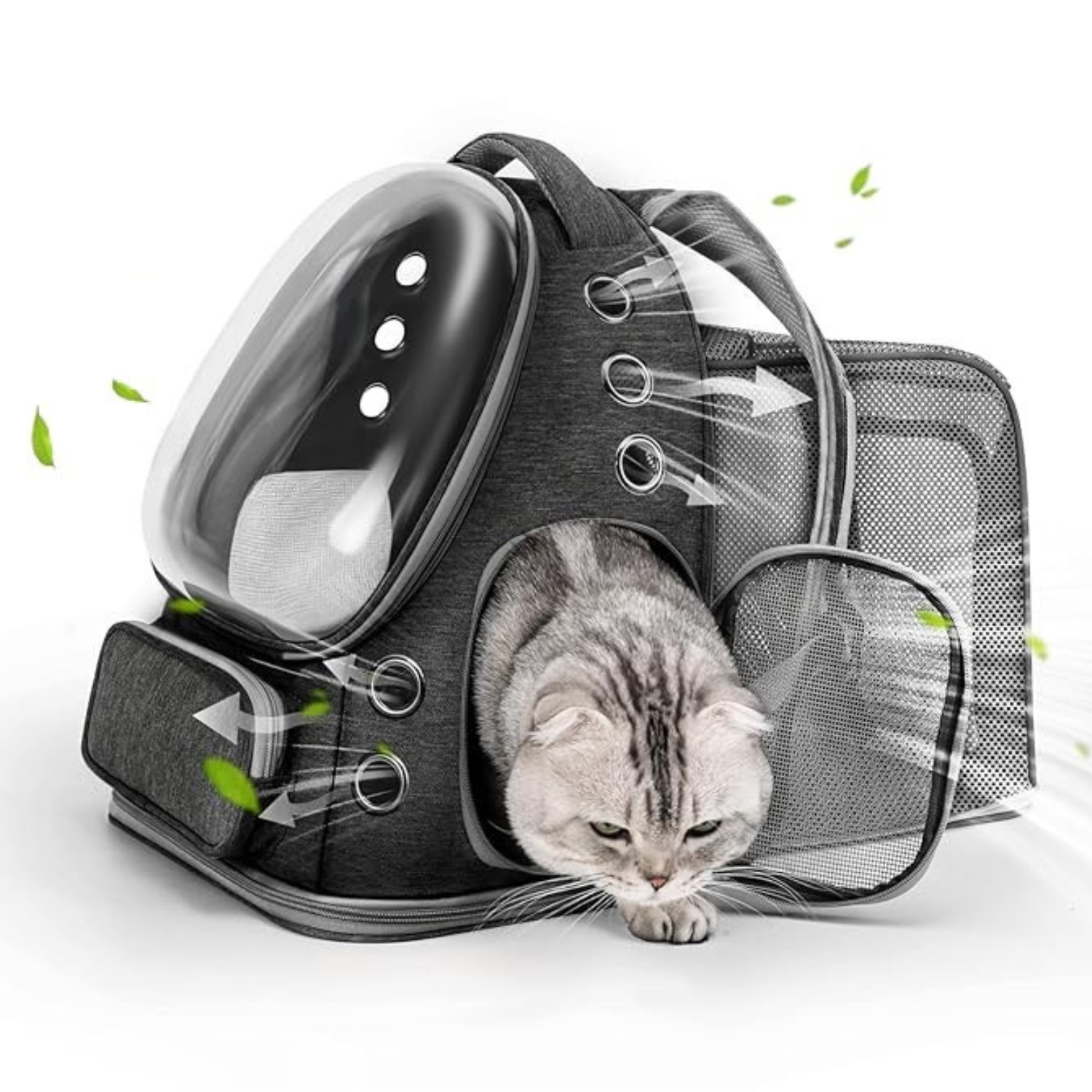 Airline Approved Expandable Bubble Travel Carrier Backpack for Cats And Dogs