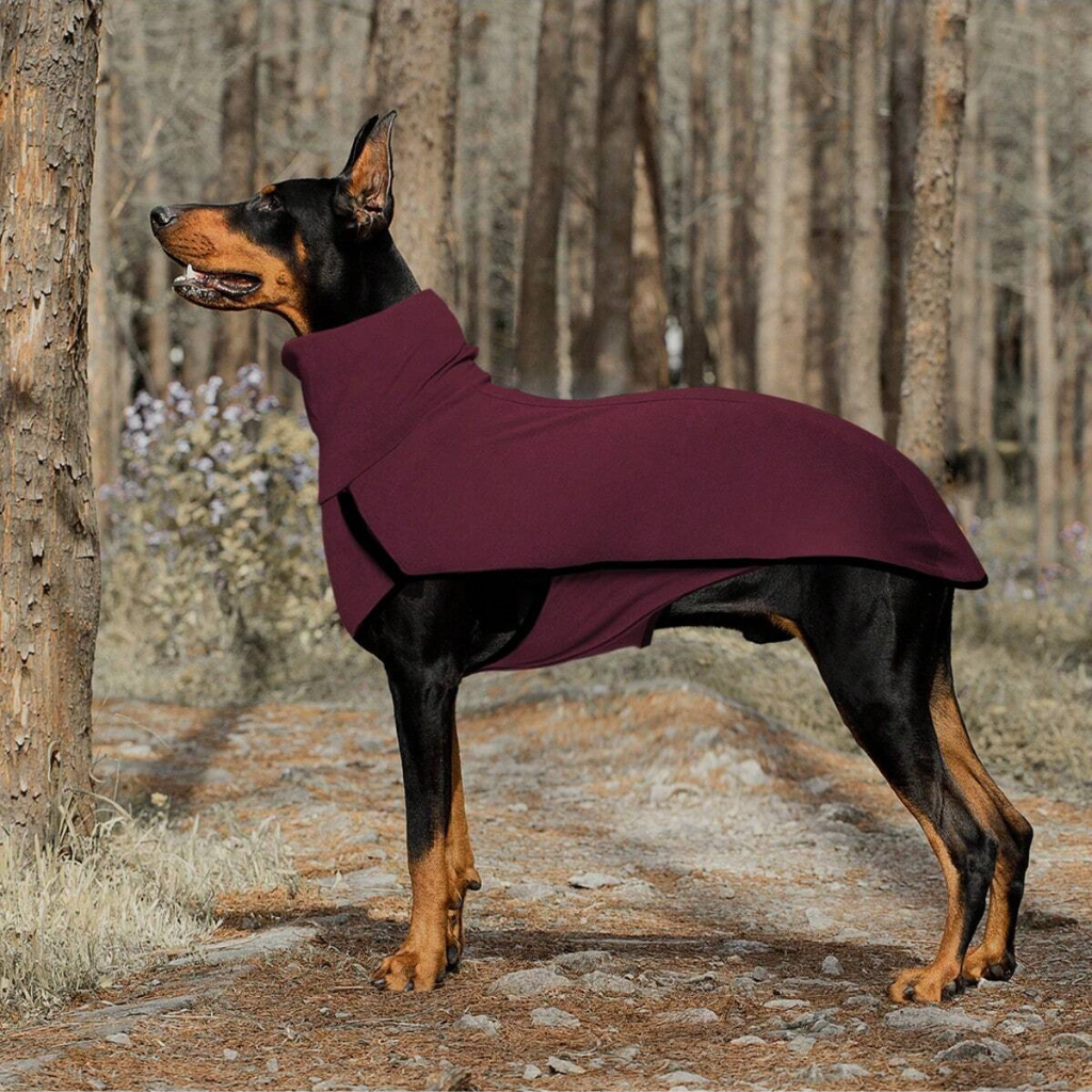 Solid Color Patchwork Pet Hoodie