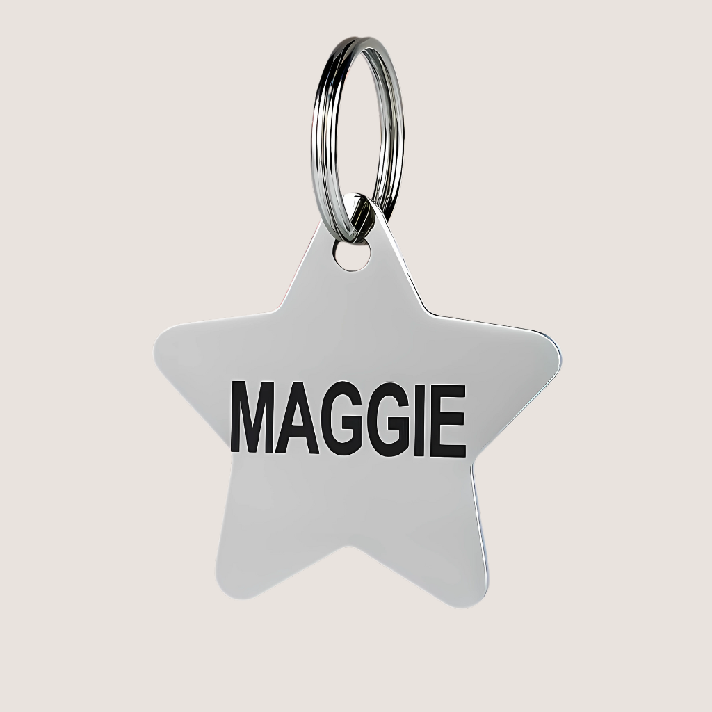 Custom Stainless Steel Pet ID Tags