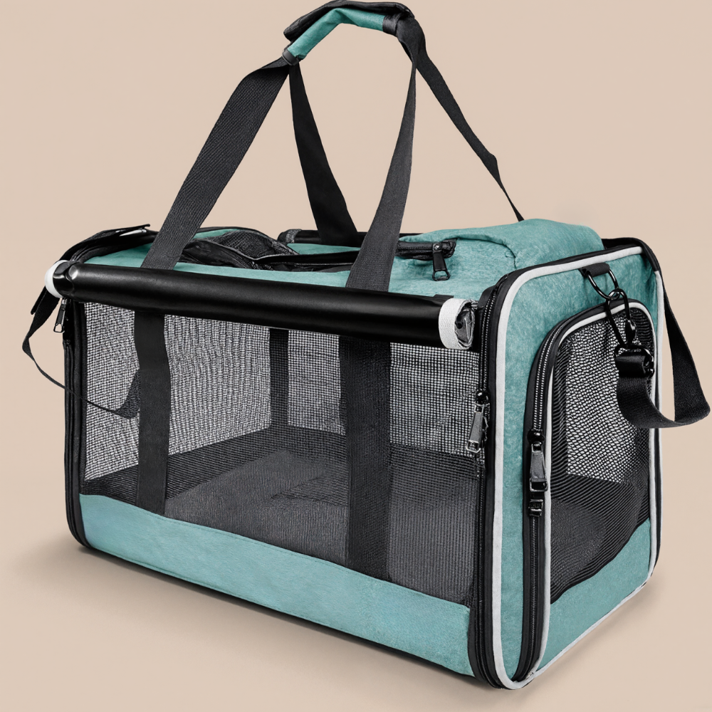 Cat Carriers for Large Cats