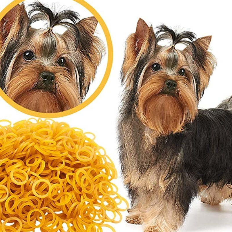 Bulk Dog Rubber Bands For Hair Grooming DIY Hair Bows Top Knots For Puppies Cats Farm Animals Small Medium Large Dogs-Paw Print Pad