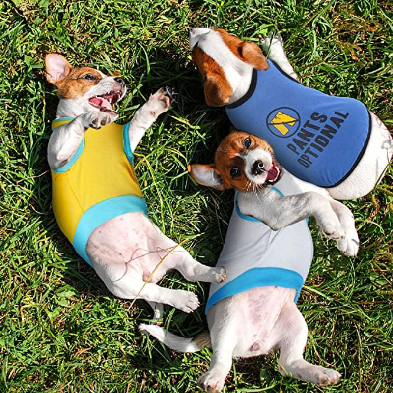 8 Pieces Dog Shirts Printed Clothes With Funny Letters Stylish Outfit-Paw Print Pad