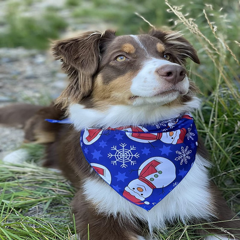 St. Patrick's Day Dog Bandanas 3-Pack Lucky Shamrock Clover Bandanna-Paw Print Pad