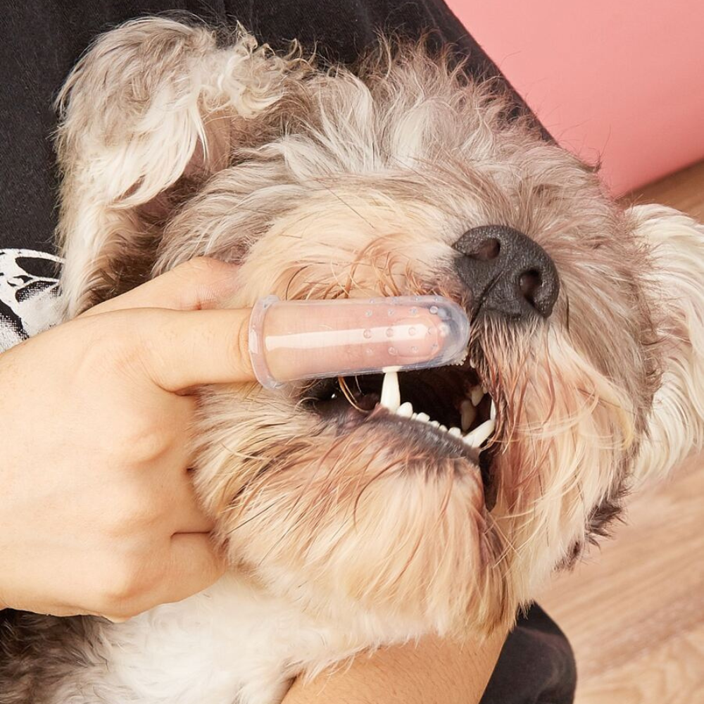 Silicone Finger Toothbrush for Pets