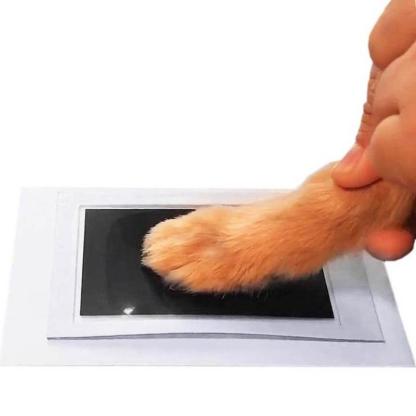 Paw Print Pad