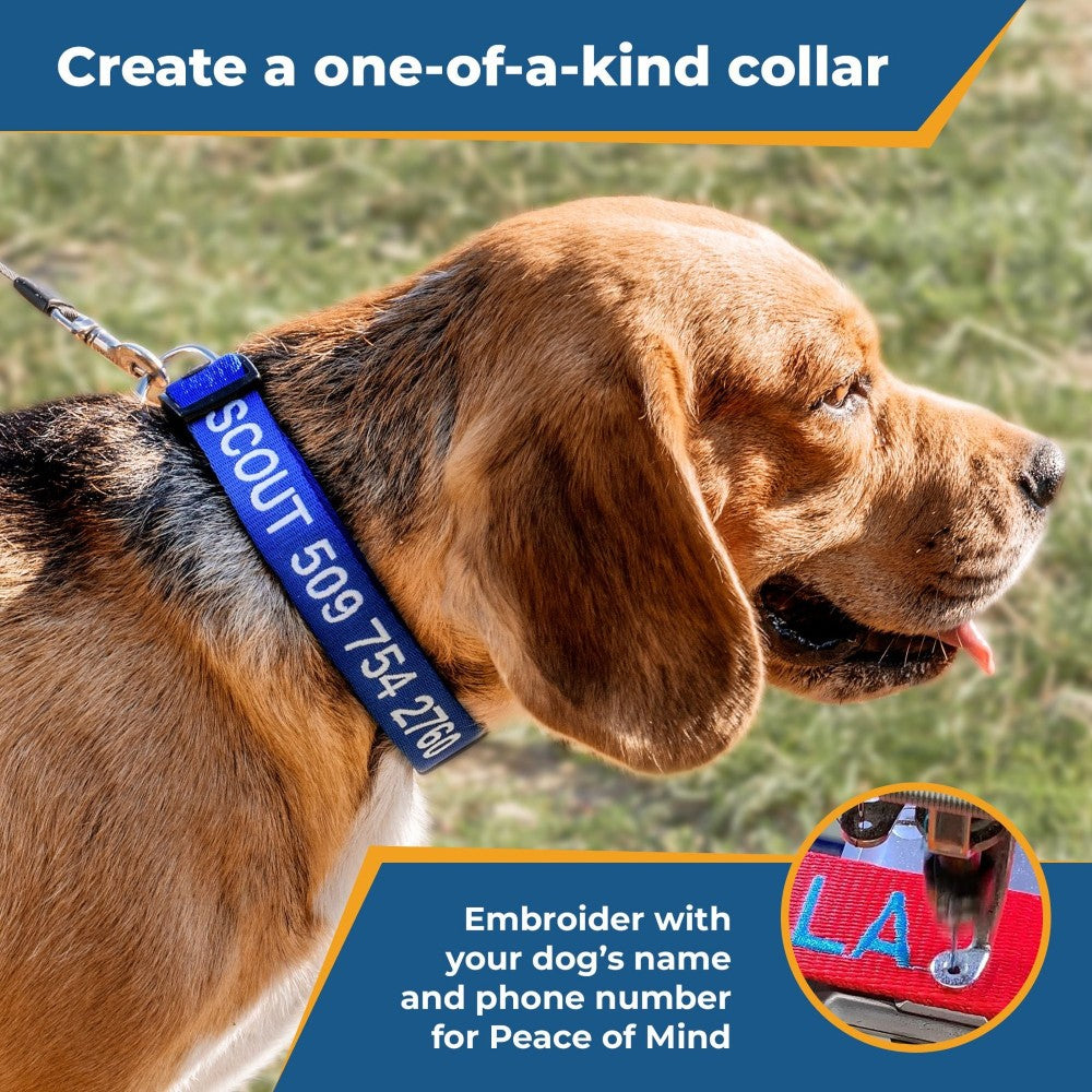 Personalized Adjustable Dog Collar For All Breeds-Paw Print Pad