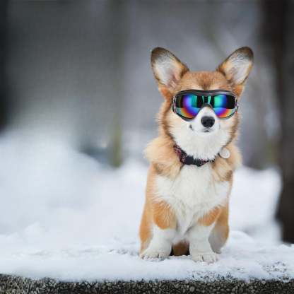 Adjustable Pet Sunglasses Goggles For Dogs-Paw Print Pad