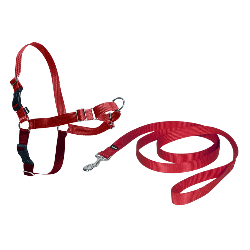 Pet Leash With Adjustable Strap Design-Paw Print Pad
