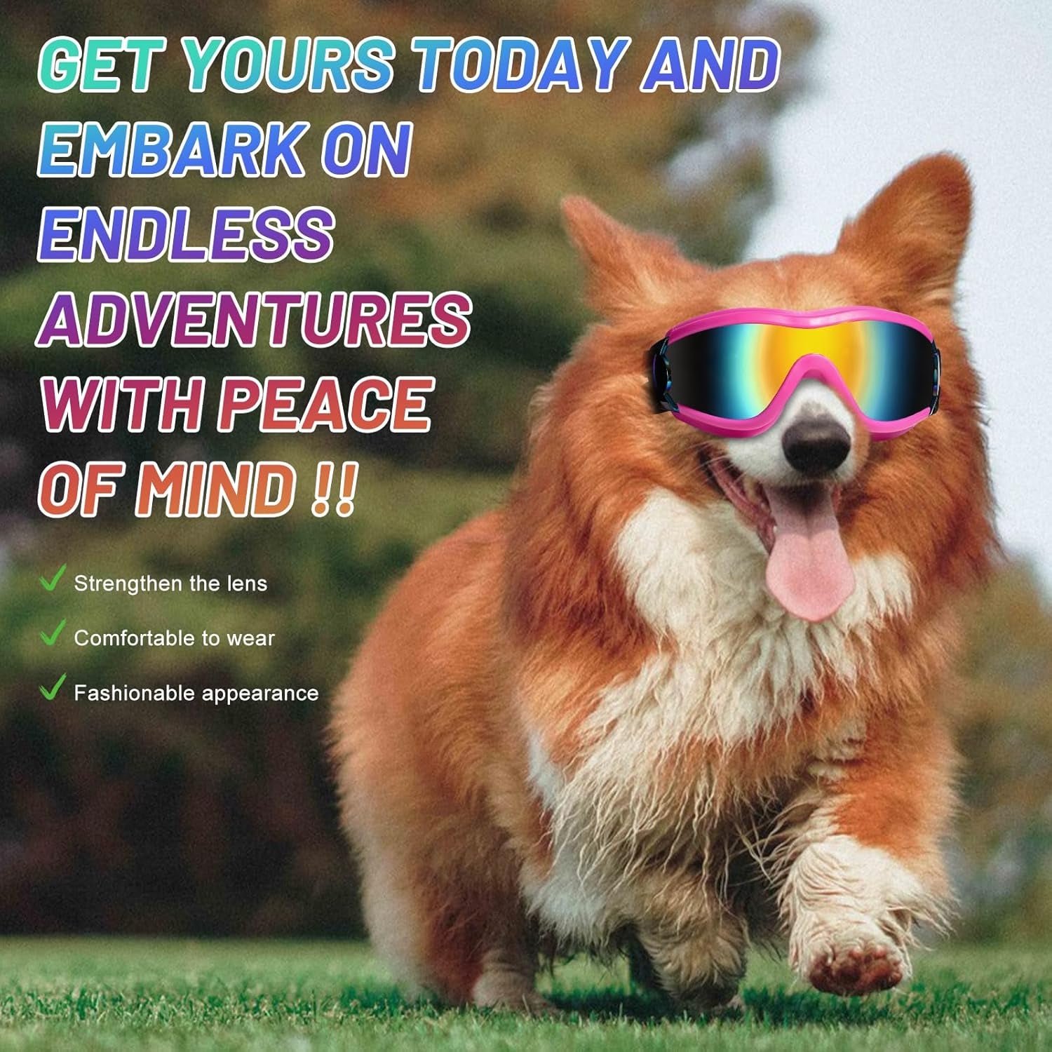Adjustable Pet Sunglasses Goggles For Dogs-Paw Print Pad