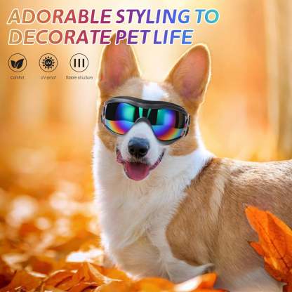 Adjustable Pet Sunglasses Goggles For Dogs-Paw Print Pad