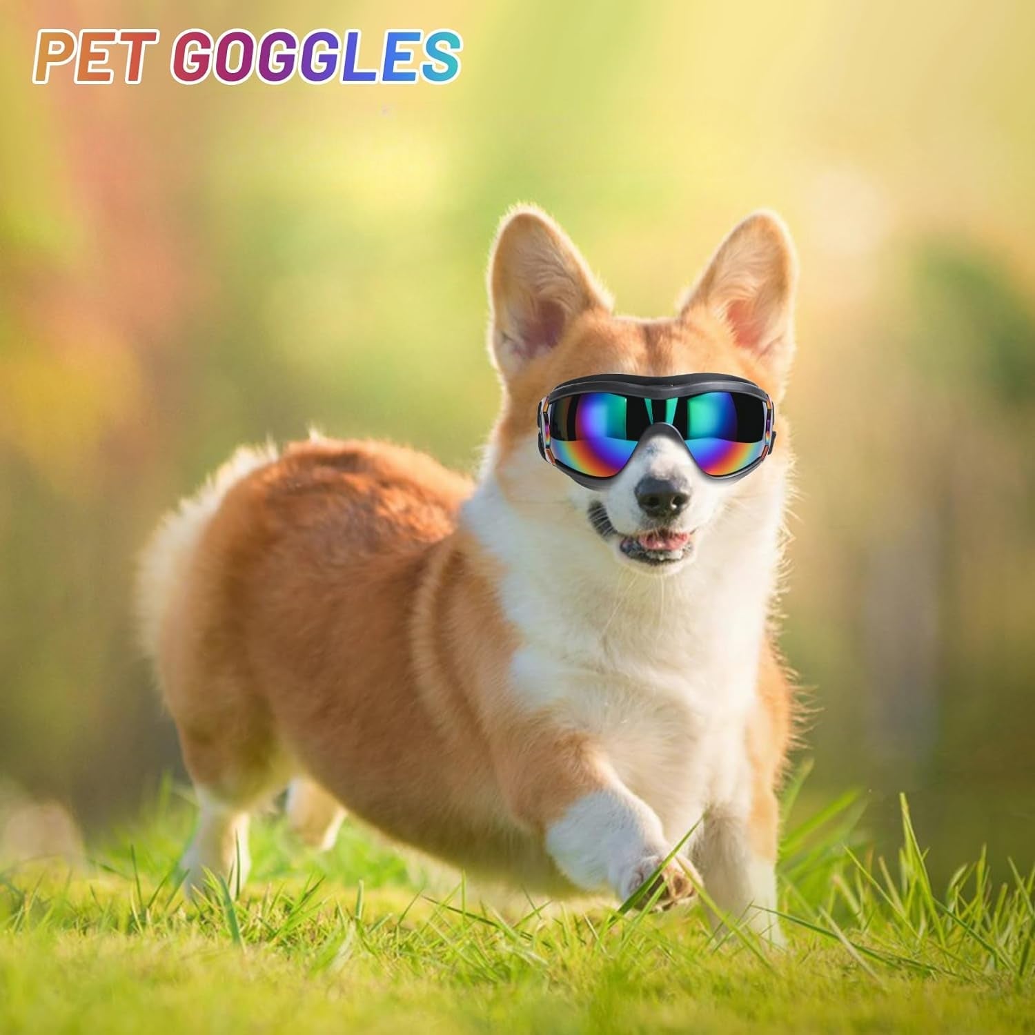 Adjustable Pet Sunglasses Goggles For Dogs-Paw Print Pad