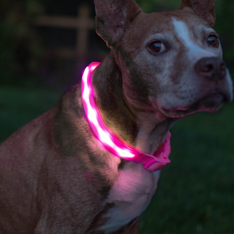 LED Dog Leash With Adjustable Strap Design-Paw Print Pad