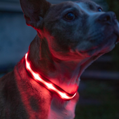 LED Dog Leash With Adjustable Strap Design-Paw Print Pad