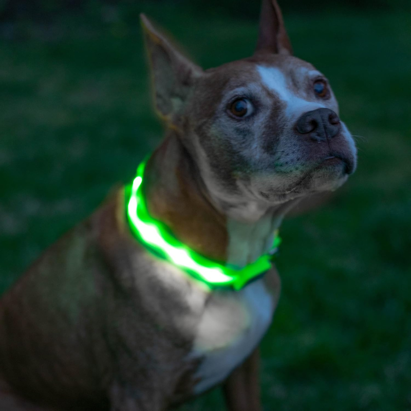 LED Dog Leash With Adjustable Strap Design-Paw Print Pad
