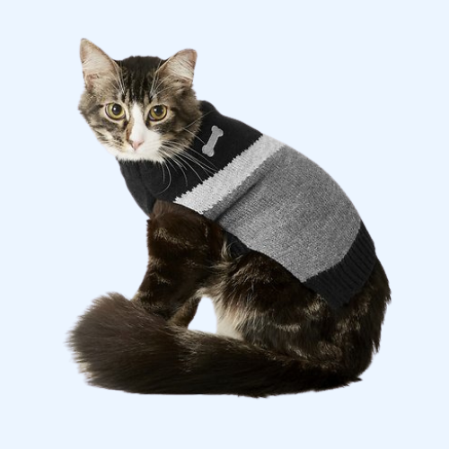 Cat Apparel