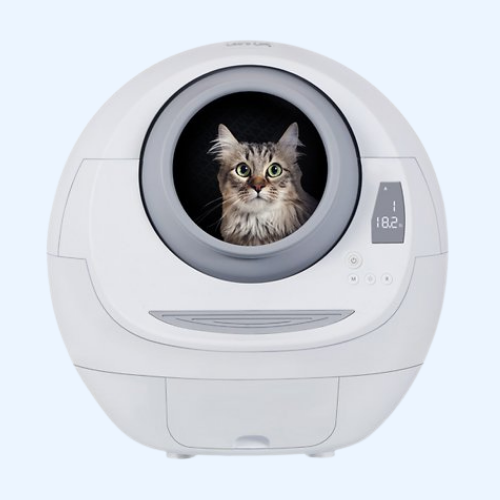 Cat Cleaning