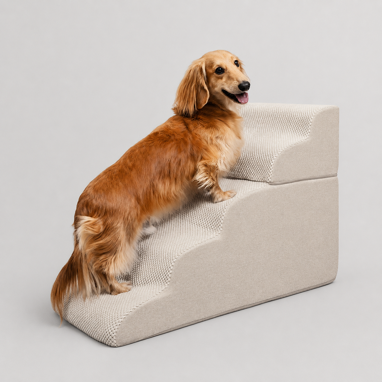 3 To 5 Step Dog And Cat Ramp For Indoor Climbing  