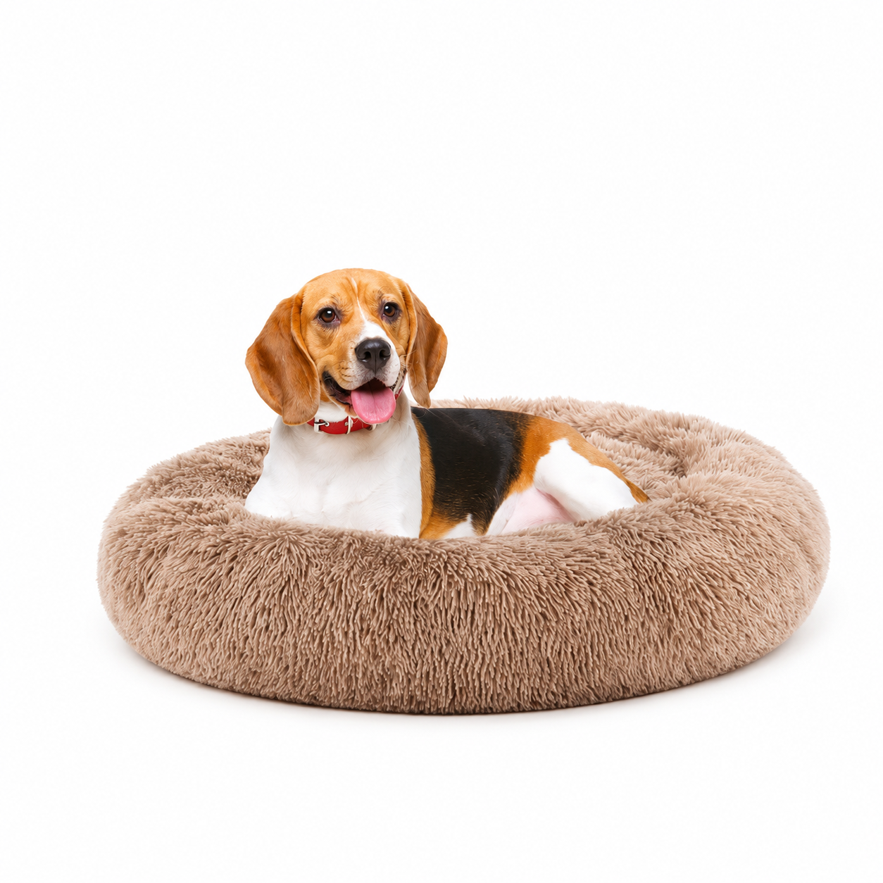 Orthopedic Memory Foam Pet Bed For Large Dogs