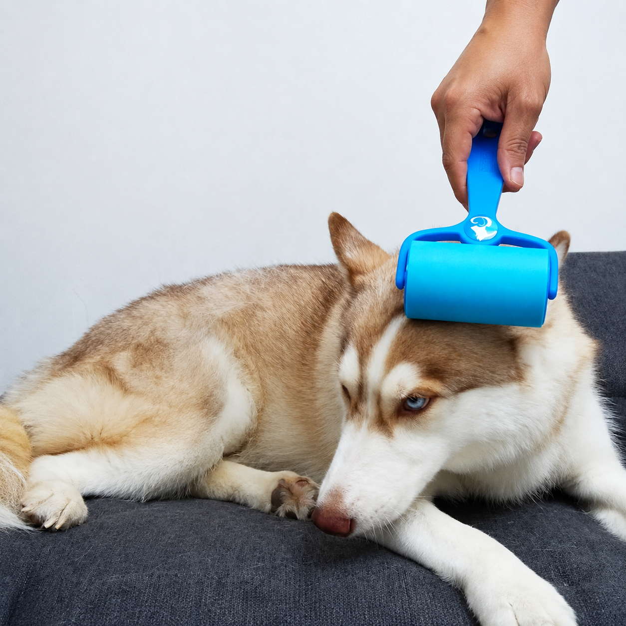 Reusable Lint Roller for Pet Fur Removal and Easy Cleanup