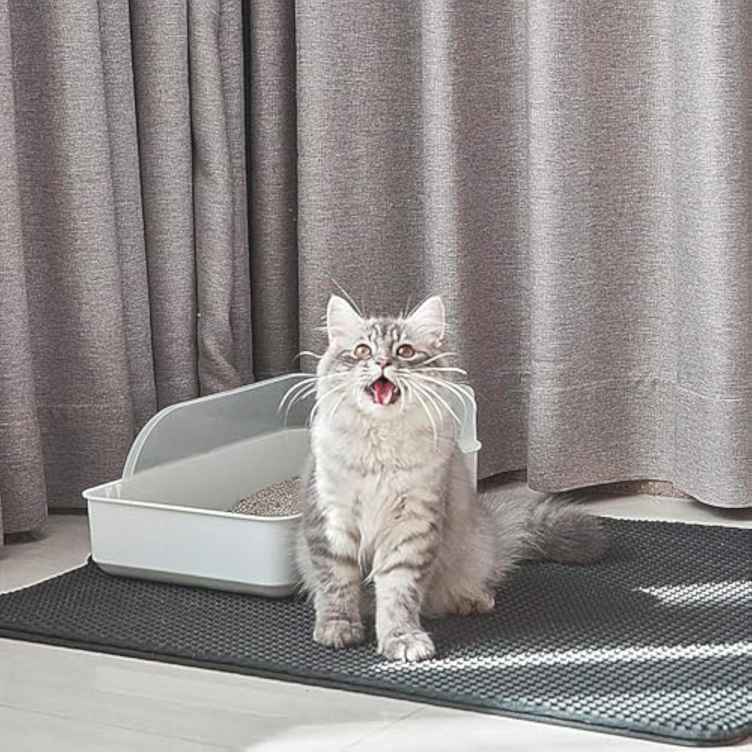Conlun Honeycomb Cat Litter Mat-Paw Print Pad