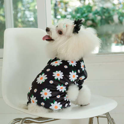 Daisy Dog Pyjamas Soft For Small Dog-Paw Print Pad