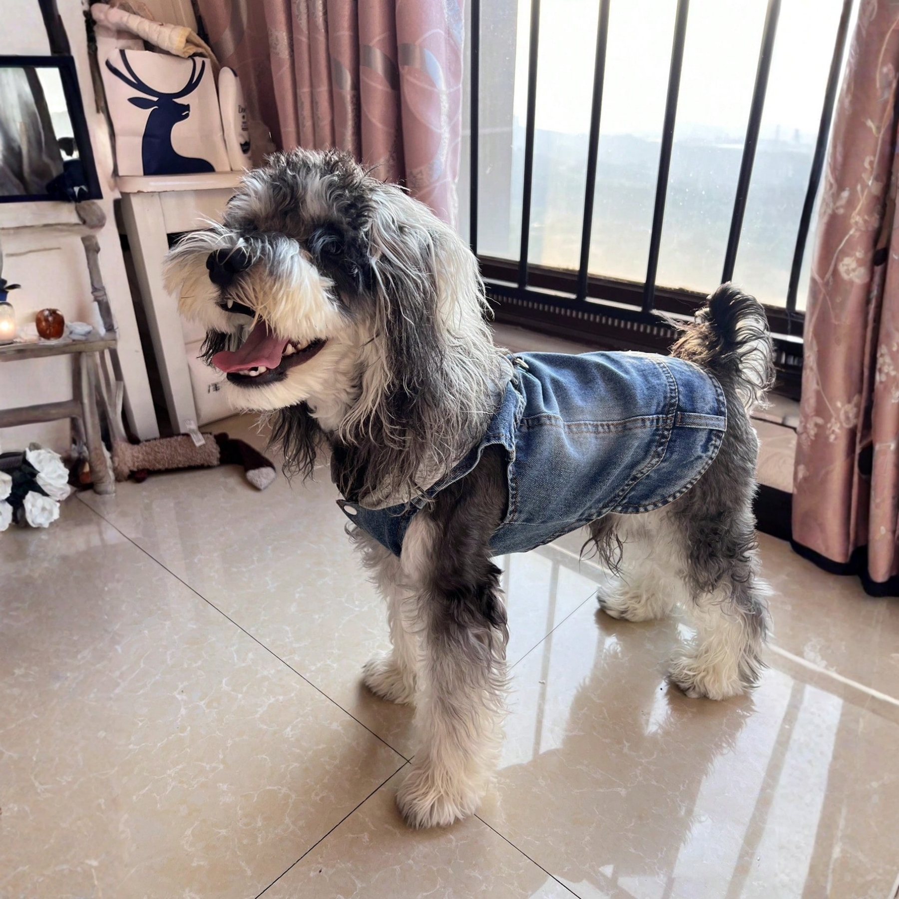 Denim Hooded Dog Harness Vest With Leash Ring