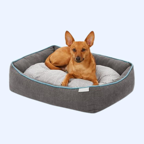 Dog Beds
