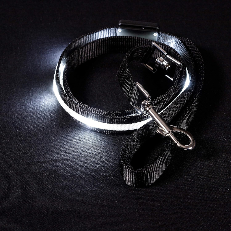 USB Rechargeable Light Up Pet Leash-Paw Print Pad