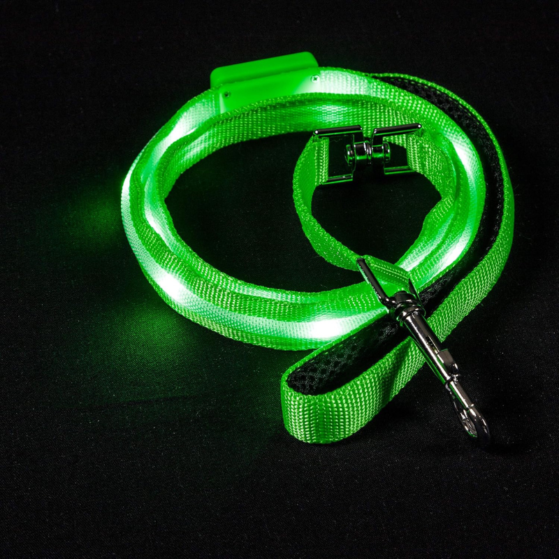 USB Rechargeable Light Up Pet Leash-Paw Print Pad