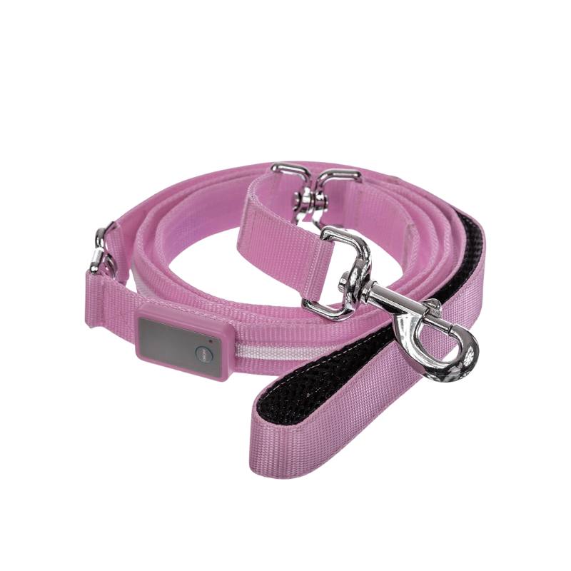 USB Rechargeable Light Up Pet Leash-Paw Print Pad