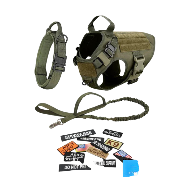 Dog Harness With Front And Back D-Ring Attachments-Paw Print Pad