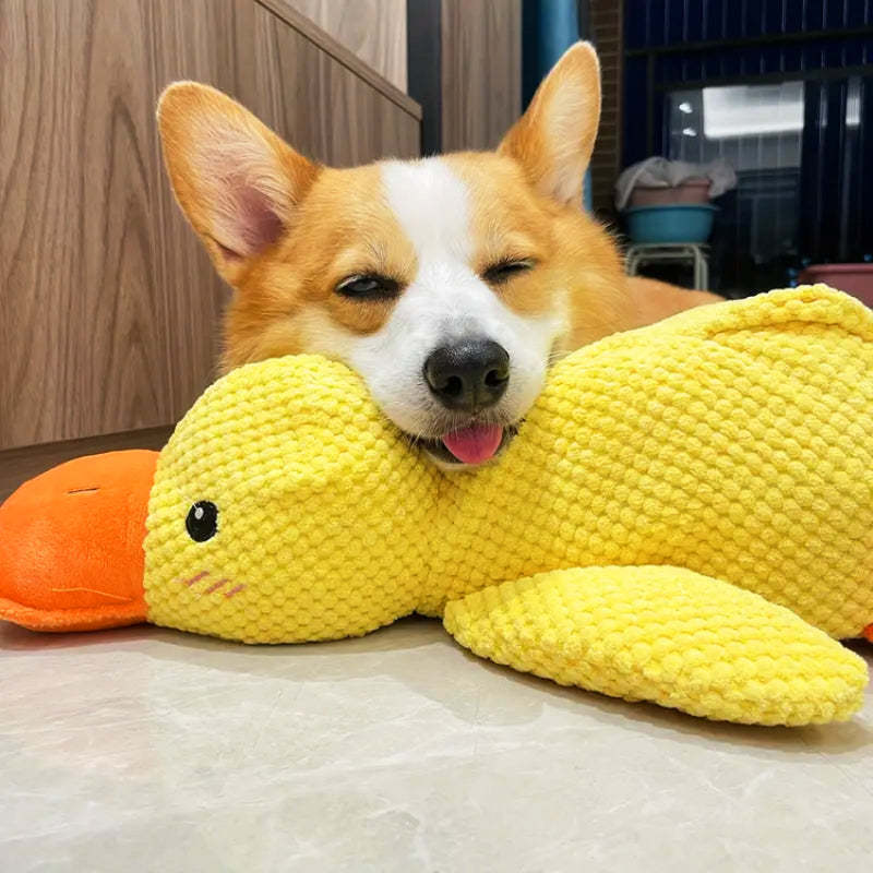 Multi Purpose Duck Chew Toy-Paw Print Pad