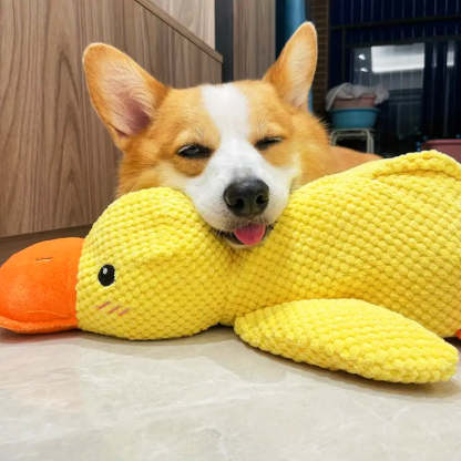 Multi Purpose Duck Chew Toy-Paw Print Pad