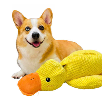 Multi Purpose Duck Chew Toy-Paw Print Pad
