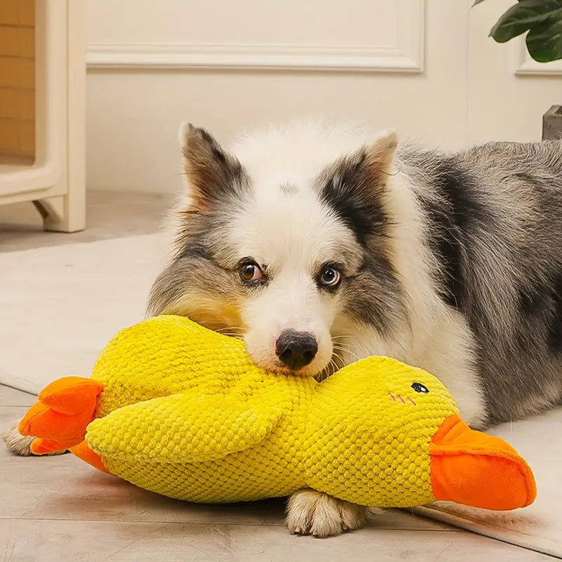 Multi Purpose Duck Chew Toy-Paw Print Pad