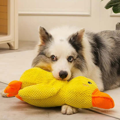Multi Purpose Duck Chew Toy-Paw Print Pad