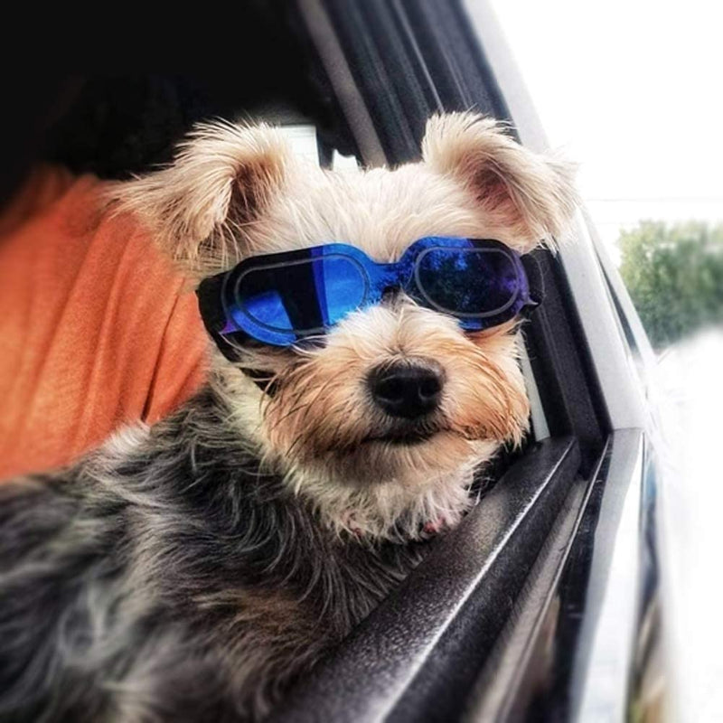 Dog Goggles Small Dog Sunglasses UV Protection Big Cat Glasses Fog/Windproof Outdoor Doggy Eye Protective with Adjustable Band for Small Dogs-Paw Print Pad